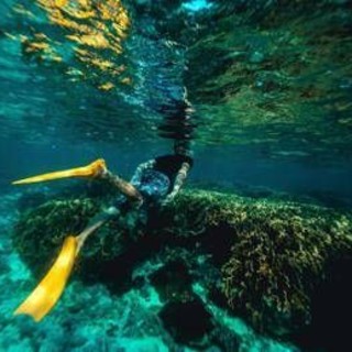 Italiani morti alle Maldive durante immersione, lo pneumologo: "Con concentrazioni elevate l’ossigeno diventa tossico" Italiani morti alle Maldive durante immersione, lo pneumologo: "Con concentrazioni elevate l’ossigeno diventa tossico"