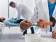 Tumore pancreas, team Aoui Verona e San Raffaele Milano vincono bando Fondazione Veronesi-Ficog Tumore pancreas, team Aoui Verona e San Raffaele Milano vincono bando Fondazione Veronesi-Ficog