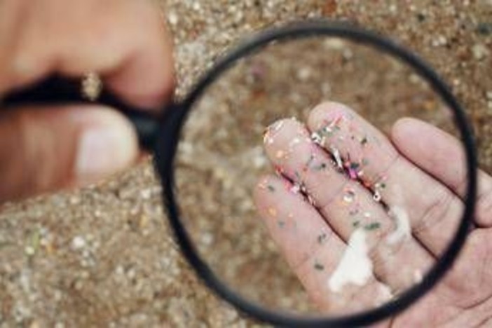 Microplastiche e salute della donna, Fondazione Sigo avvia percorso informativo Microplastiche e salute della donna, Fondazione Sigo avvia percorso informativo