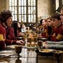 Harry Potter, la protesta dei fan: spostato il cavo sottomarino per la 'tomba' di Dobby