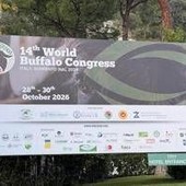 'World Buffalo Congress' road map per futuro con meno burocrazia e più innovazione 'World Buffalo Congress' road map per futuro con meno burocrazia e più innovazione