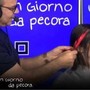 Schlein si tinge ciocca rossa per scommessa: &quot;Un po' alla Mirko dei Bee Hive&quot;