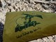 Milano, in corteo con bandiera Hezbollah: indagata per istigazione a terrorismo Milano, in corteo con bandiera Hezbollah: indagata per istigazione a terrorismo