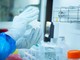 Donna muore di peste polmonare in Siberia, lavorava in laboratorio: in 200 in quarantena Donna muore di peste polmonare in Siberia, lavorava in laboratorio: in 200 in quarantena