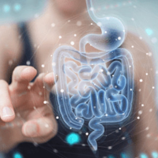 Malattie croniche dell'intestino, una guida pratica per clinici e pazienti per la migliore aderenza alle cure