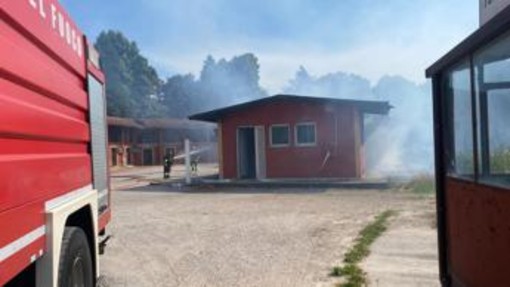 Treviso, incendio all'ippodromo Sant’Artemio: sei cavalli muoiono tra le fiamme