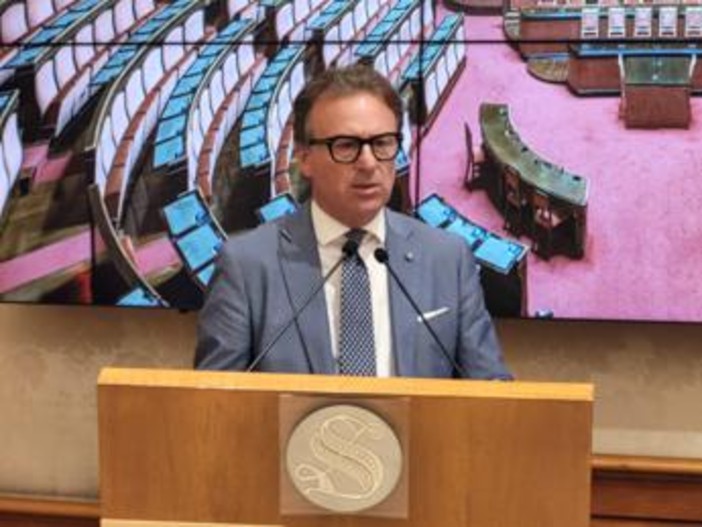 Damiani (Fi): "Collaborazione istituzioni e associazioni fondamentale"