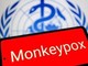 Vaiolo delle scimmie, Oms: "Mpox continua a circolare, a novembre 2.150 casi e 5 morti"