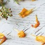 Lettera d'addio all'Elba... di 29 anni fa: "Non ci vedremo più amica mia"