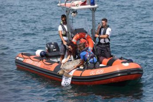 A Marina di Ravenna torna la 'Festa della cozza' A Marina di Ravenna torna la 'Festa della cozza'