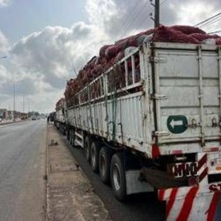 Benin, militari annunciano golpe. Ma fonti vicine al presidente: "Esercito regolare sta riprendendo il controllo" Benin, militari annunciano golpe. Ma fonti vicine al presidente: "Esercito regolare sta riprendendo il controllo"