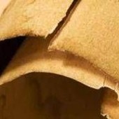 Iliade in una mummia in Egitto, il chiarimento: "Papiro usato come imballaggio"