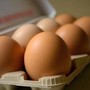 Quattro uova a settimana per 'curare' sistema nervoso, vista e pelle: cosa dice l'immunologo