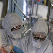 Virus Shamonda, "no casi umani in Italia, attenzione rafforzata": la circolare del ministero dell a Salute Virus Shamonda, "no casi umani in Italia, attenzione rafforzata": la circolare del ministero dell a Salute