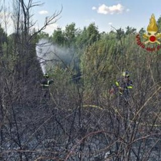 Roma, da via Pineta Sacchetti a Cinecittà: diversi incendi nella Capitale e dintorni