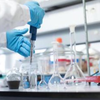 Cancro polmone, svelato il segreto di una risposta duratura all'immunoterapia