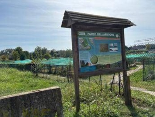 Torino, presunto abuso al parco dell’Arrivore: FdI chiede chiarimenti al Comune