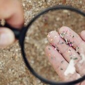 Microplastiche e salute della donna, Fondazione Sigo avvia percorso informativo Microplastiche e salute della donna, Fondazione Sigo avvia percorso informativo