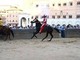 Palio Siena, la Contrada della Giraffa vince la terza prova Palio Siena, la Contrada della Giraffa vince la terza prova