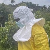 Ebola, Pregliasco: "Chi parla di rischio zero racconta una favola" Ebola, Pregliasco: "Chi parla di rischio zero racconta una favola"
