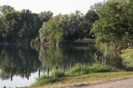 Milano, violentata mentre fa jogging al parco: si salva mordendo l'aggressore, arrestato 26enne Milano, violentata mentre fa jogging al parco: si salva mordendo l'aggressore, arrestato 26enne
