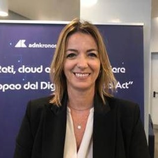 Digitale, Pizzi (Anitec-Assinform): "Dna semplifichi norme e non le appesantisca" Digitale, Pizzi (Anitec-Assinform): "Dna semplifichi norme e non le appesantisca"