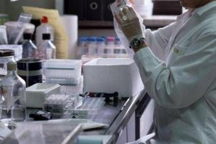 Gsk con Fleming Initiative e Ia avanzata contro antimicrobico resistenza Gsk con Fleming Initiative e Ia avanzata contro antimicrobico resistenza