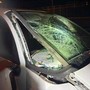 Operaio investito e ucciso su A14, denunciato automobilista positivo all'alcol test Operaio investito e ucciso su A14, denunciato automobilista positivo all'alcol test