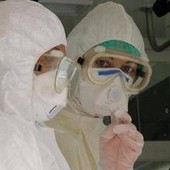 Virus Shamonda, Lopalco: "È favorito da crisi climatica, svegliamoci"