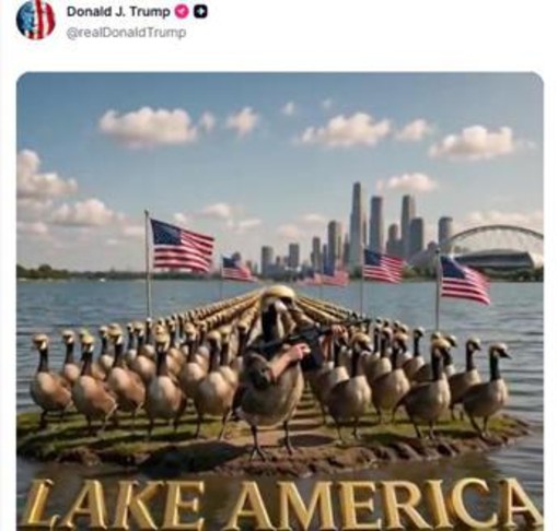 Trump posta esercito di 'Donald Ducks', le papere armate a difesa del Lago America Trump posta esercito di 'Donald Ducks', le papere armate a difesa del Lago America