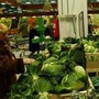 Rapporto Ismea, acquisti alimentari in sensibile crescita nel primo semestre Rapporto Ismea, acquisti alimentari in sensibile crescita nel primo semestre