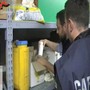 Traffico di farmaci dopanti, perquisizioni del Nas in 40 province