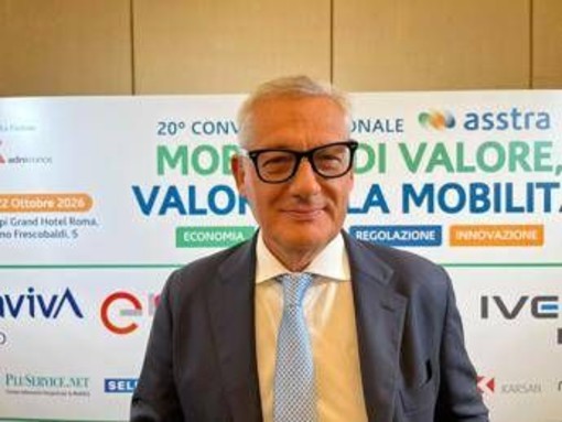 Pettinelli (Avm): "Autoconsumo sì, ma la produzione di energia va lasciata agli specialisti"