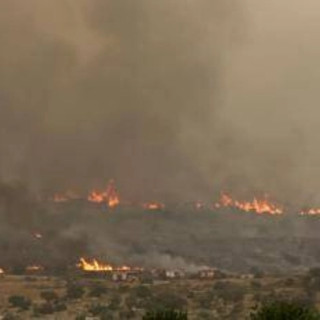 Israele in fiamme, l'appello di Hamas: &quot;Bruciate tutto per vendicare Gaza&quot;