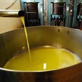 Unifol: "Per movimenti dell'olio sfuso sì alla bolla elettronica " Unifol: "Per movimenti dell'olio sfuso sì alla bolla elettronica "