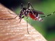 Zanzare e contagi in aumento: &quot;La Regione intervenga sul West Nile Virus&quot;